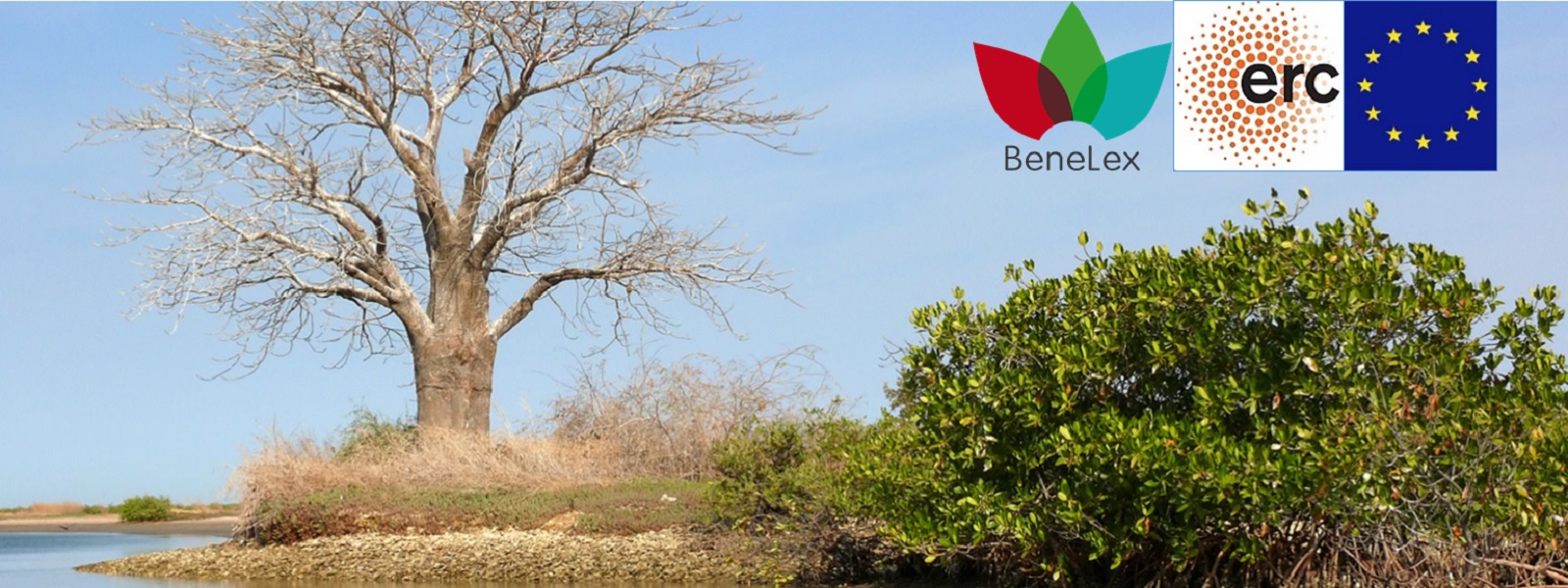 BeneLex